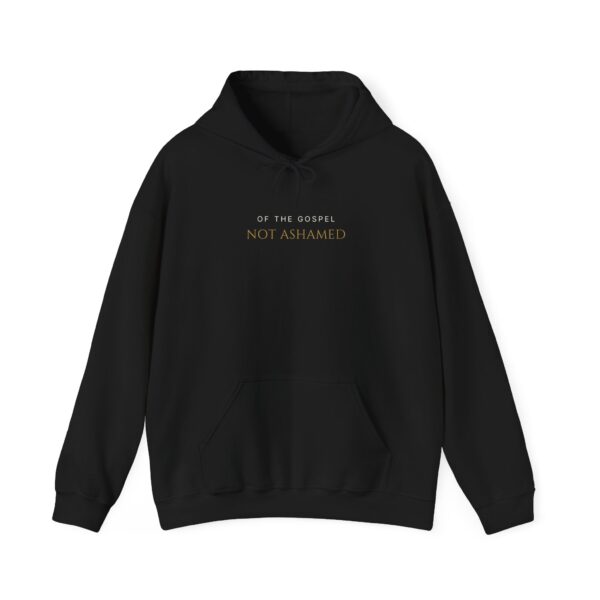 Not Ashamed Hoodie